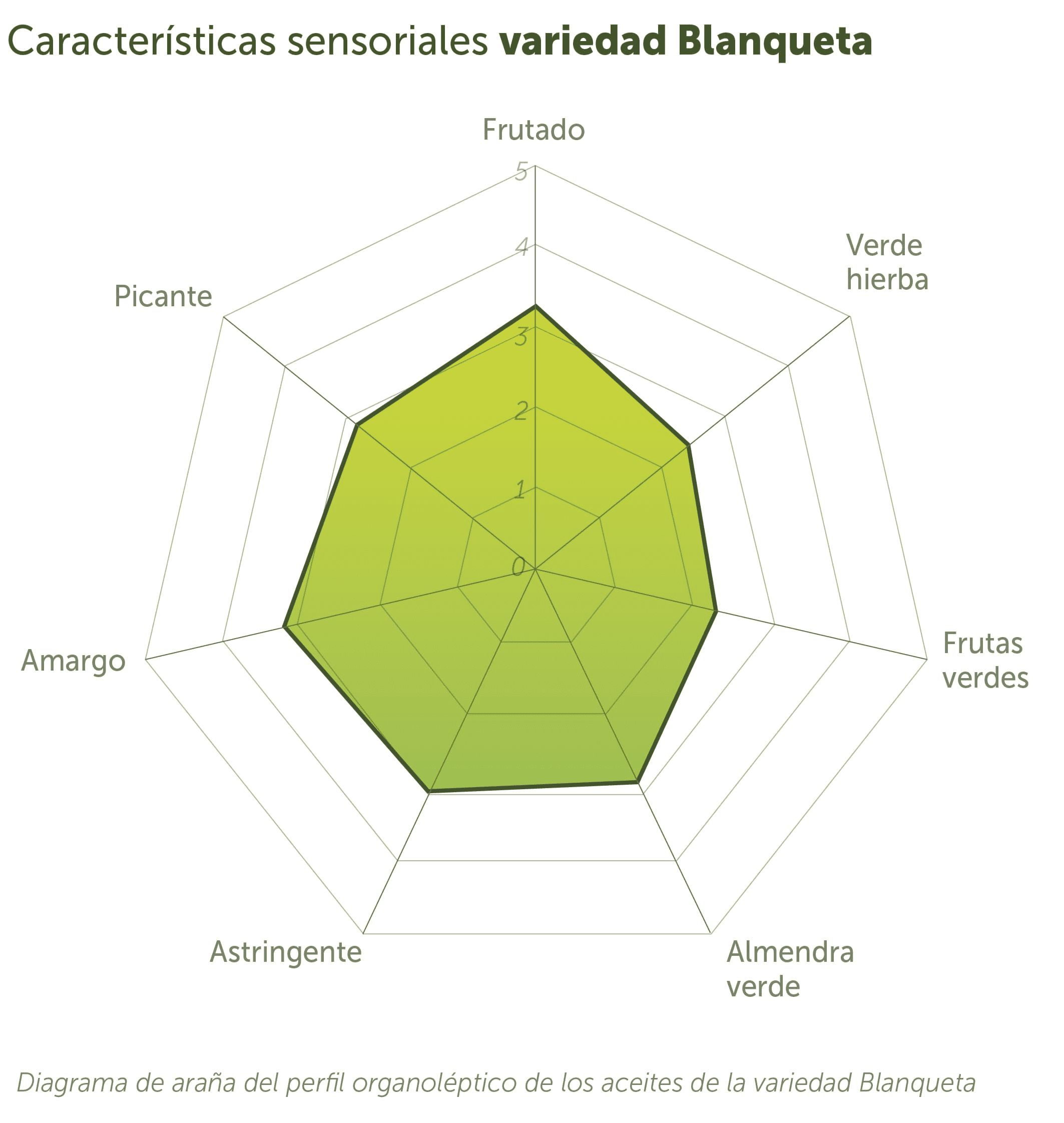 Blanqueta