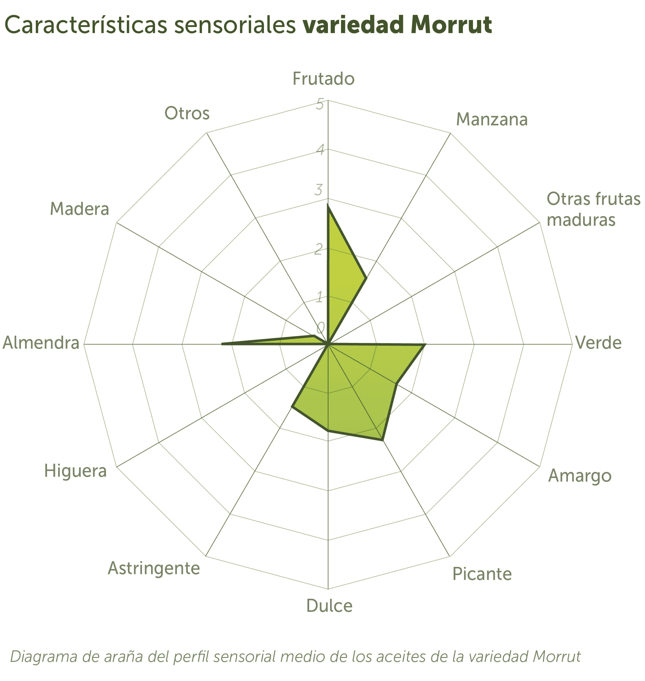 Morrut